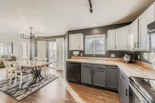 4788 Mt Princeton St, Brighton, CO 80601 - Photo 10