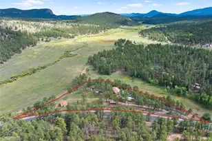 2400 Co Rd 43, Bailey, CO 80421 - Photo 8