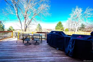 4701 Whimbrel Dr, Littleton, CO 80126 - Photo 28