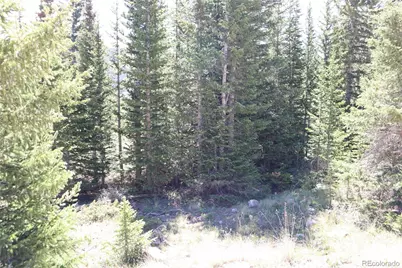 1480 Roberts Road, Fairplay, CO 80440 - Photo 14