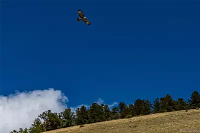 340 Huntley Place, Cotopaxi, CO 81223 - Photo 14