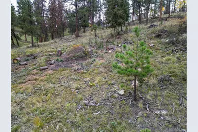 33247 Jennifer Road, Pine, CO 80470 - Photo 12