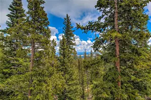 566 Miners Way, Fairplay, CO 80440 - Photo 30