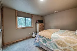 566 Miners Way, Fairplay, CO 80440 - Photo 32