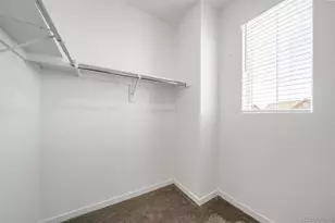 746 N Bersshine Ct, Watkins, CO 80137 - Photo 30