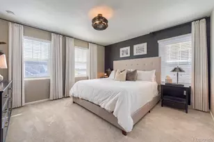 9099 Fraser River St, Littleton, CO 80125 - Photo 16