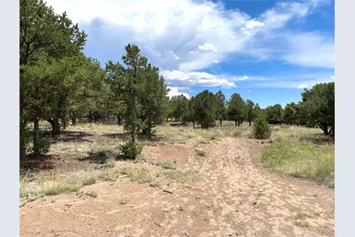 Tract 6 Philleo Annex Philleo Way, Crestone, CO 81131 - Photo 2