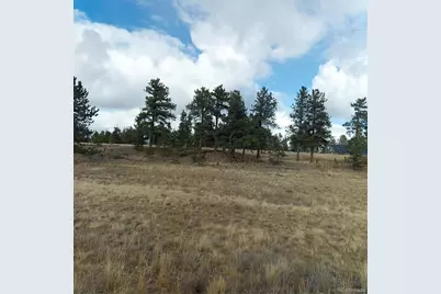 0 Singletree Road, Buena Vista, CO 81211 - Photo 10