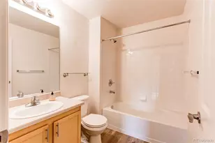 10787 Twenty Mile Road, Parker, CO 80134 - Photo 18