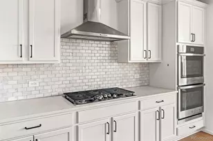 6866 Petunia Pl, Castle Rock, CO 80108 - Photo 10