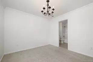 6866 Petunia Pl, Castle Rock, CO 80108 - Photo 42