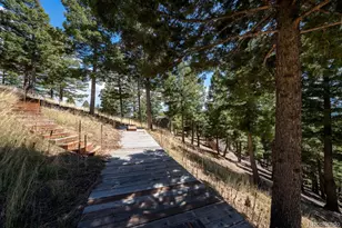 13939 Forest Ln, Larkspur, CO 80118 - Photo 44