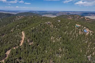 13939 Forest Ln, Larkspur, CO 80118 - Photo 6