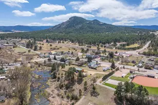 13939 Forest Ln, Larkspur, CO 80118 - Photo 46