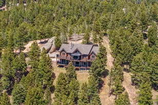13939 Forest Ln, Larkspur, CO 80118 - Photo 4