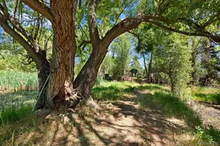 247 True Ave, Poncha Springs, CO 81242 - Photo 42