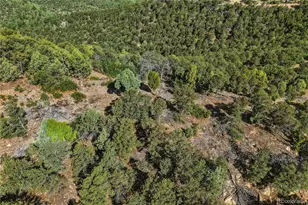 93 Blackhawk Ranch, Walsenburg, CO 81089 - Photo 42