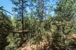 93 Blackhawk Ranch, Walsenburg, CO 81089 - Photo 26
