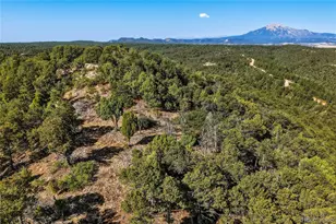 93 Blackhawk Ranch, Walsenburg, CO 81089 - Photo 40