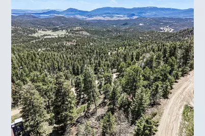 11618 Nichols Way, Conifer, CO 80433 - Photo 6