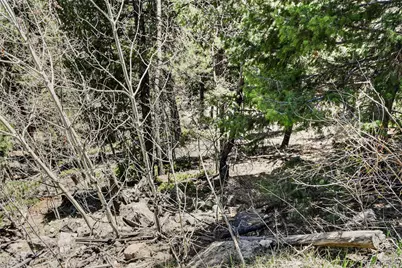 11618 Nichols Way, Conifer, CO 80433 - Photo 10