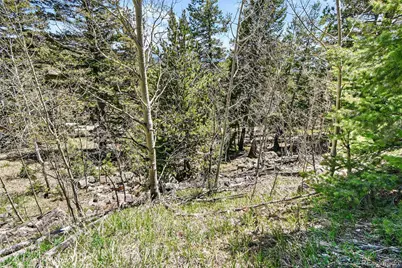 11618 Nichols Way, Conifer, CO 80433 - Photo 12