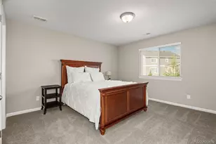 7159 Oasis Dr, Castle Rock, CO 80108 - Photo 36