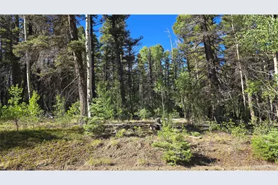 Lot 5816 Balleroy Road, Fort Garland, CO 81133 - Photo 10