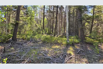 Lot 5816 Balleroy Road, Fort Garland, CO 81133 - Photo 4