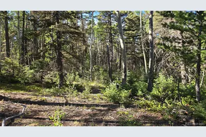 Lot 5816 Balleroy Road, Fort Garland, CO 81133 - Photo 12