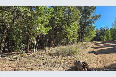 Lot 5816 Balleroy Road, Fort Garland, CO 81133 - Photo 16