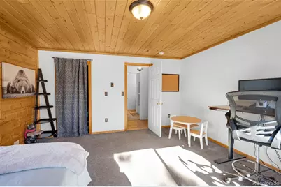 1276 Pinewood Road, Florissant, CO 80816 - Photo 10