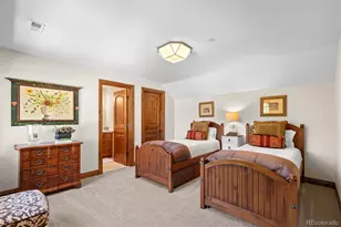 1054 Cypress Way, Castle Rock, CO 80108 - Photo 36
