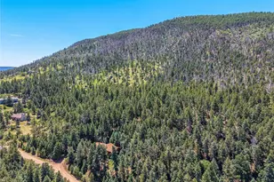 2924 Vly Pk Dr, Larkspur, CO 80118 - Photo 48