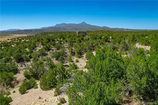 37300 Kunzite Rd, Trinidad, CO 81082 - Photo 1
