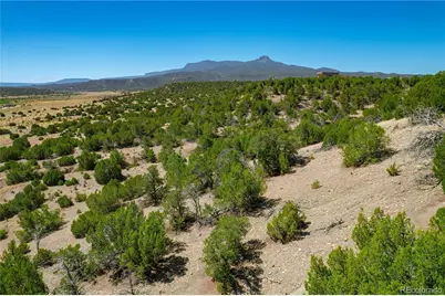 37300 Kunzite Road, Trinidad, CO 81082 - Photo 8