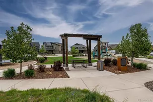 8107 Arapahoe Peak St, Littleton, CO 80125 - Photo 34