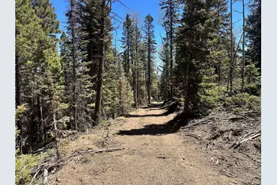3425 Co Rd 360, Westcliffe, CO 81252 - Photo 10