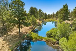 18340 S Lake Rd, Buena Vista, CO 81211 - Photo 2