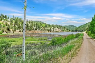 68 Jones Rd, Bailey, CO 80421 - Photo 16