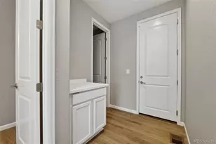 6458 Amur Ct, Castle Rock, CO 80108 - Photo 18