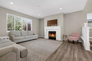6458 Amur Ct, Castle Rock, CO 80108 - Photo 4