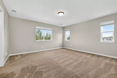 6458 Amur Court, Castle Rock, CO 80108 - Photo 24