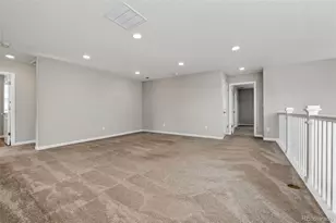 6458 Amur Ct, Castle Rock, CO 80108 - Photo 22