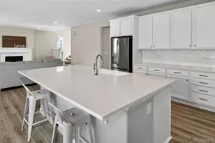 6458 Amur Ct, Castle Rock, CO 80108 - Photo 8
