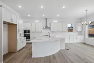 9210 Gold Lace Pl, Highlands Ranch, CO 80129 - Photo 8