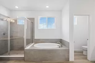 9210 Gold Lace Pl, Highlands Ranch, CO 80129 - Photo 26