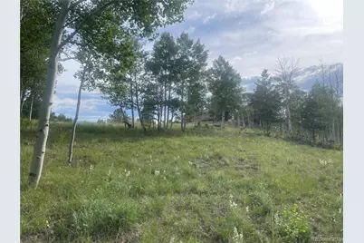 171 Emerald Way, Lake George, CO 80827 - Photo 2