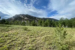 171 Emerald Way, Lake George, CO 80827 - Photo 1