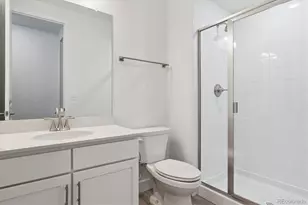 1642 Green Fern Pt, Castle Rock, CO 80104 - Photo 24